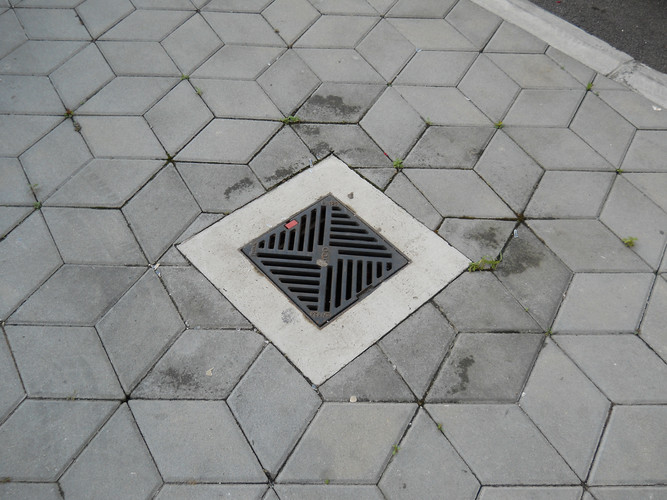 Web-6
