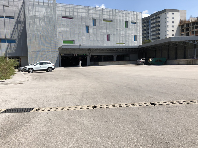 IMG 1233